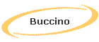 Buccino