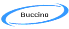 Buccino