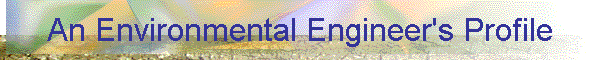 An Environmental Engineer's Profile