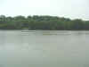 foxriver.JPG (74450 bytes)