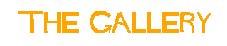  The Gallery 