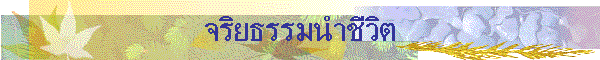¸ӪԵ