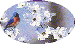 O3bird.gif (6979 bytes)