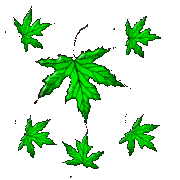 hojas_multi2.gif (4536 bytes)