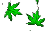 hojitas.gif (1794 bytes)