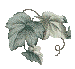 Hoja.gif (2748 bytes)