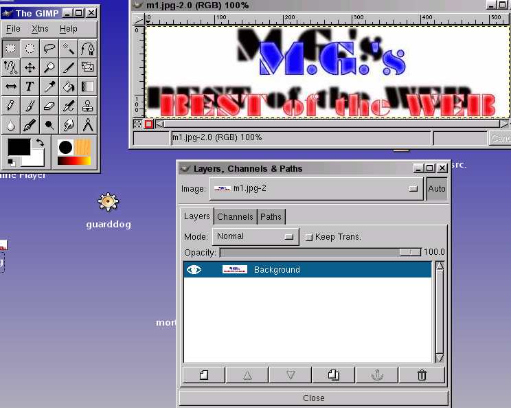 gimp
