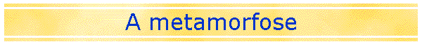 A metamorfose