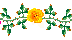 flwrbarsmall.gif (1515 bytes)