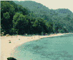pilio03.gif (47045 bytes)