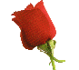 rosebud