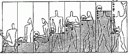 modulor men 
positions