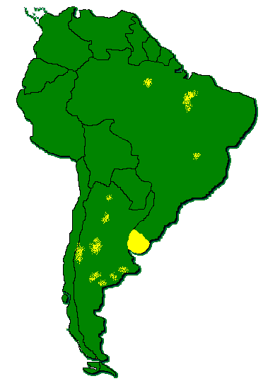 Areas investigadas