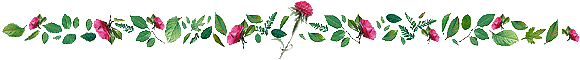 rosebar.gif (12036 bytes)
