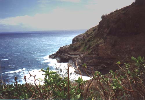photo of coastline
