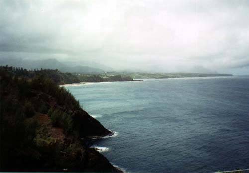 photo of coastline