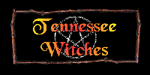 [Tn Witch]