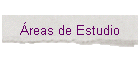 reas de Estudio