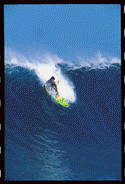 Surfs up . . . . . . . . 