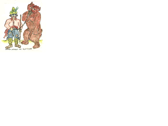 bear