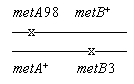Example 
of complementation 