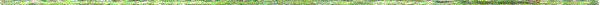 divider.gif (2291 bytes)