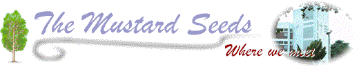 The Mustard Seeds - Where we meet