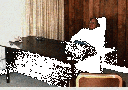 Stan at his desk