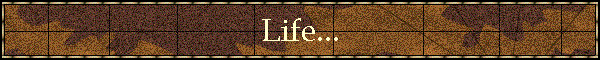Life...