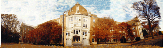 ICUG's Renaissance Institute