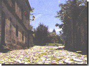 Colonia