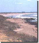 La Paloma