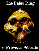 The Paleo Ring's PreviousWebsite