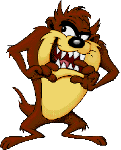 A PICTURE OF TAZ