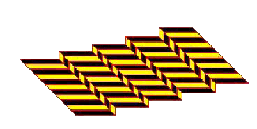 A
  REALLY COOL ILLUSION