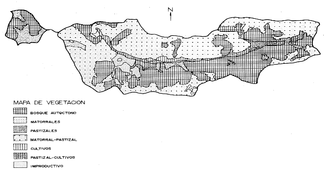 Mapa de vegetacion (31698 bytes)