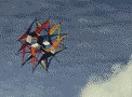 Kite