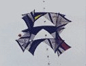 kite3
