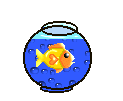 fishbowl