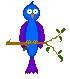 petbird