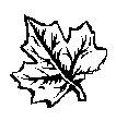 [autumn leaf]