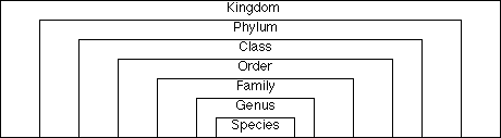 [diagram of Linnaeus's classification system]