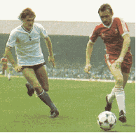 Glen Hoddle