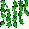 vine