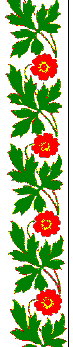 finnish motif