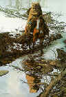 Spirit of the Grizzly