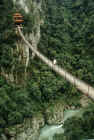 Hanging bridge and pagoda