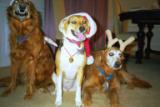 Mischief Makers