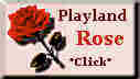 You Found The Rose!