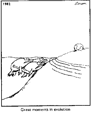 Far Side Cartoon: Great moments in evolution (Fish stare at a baseball hit onto land)
